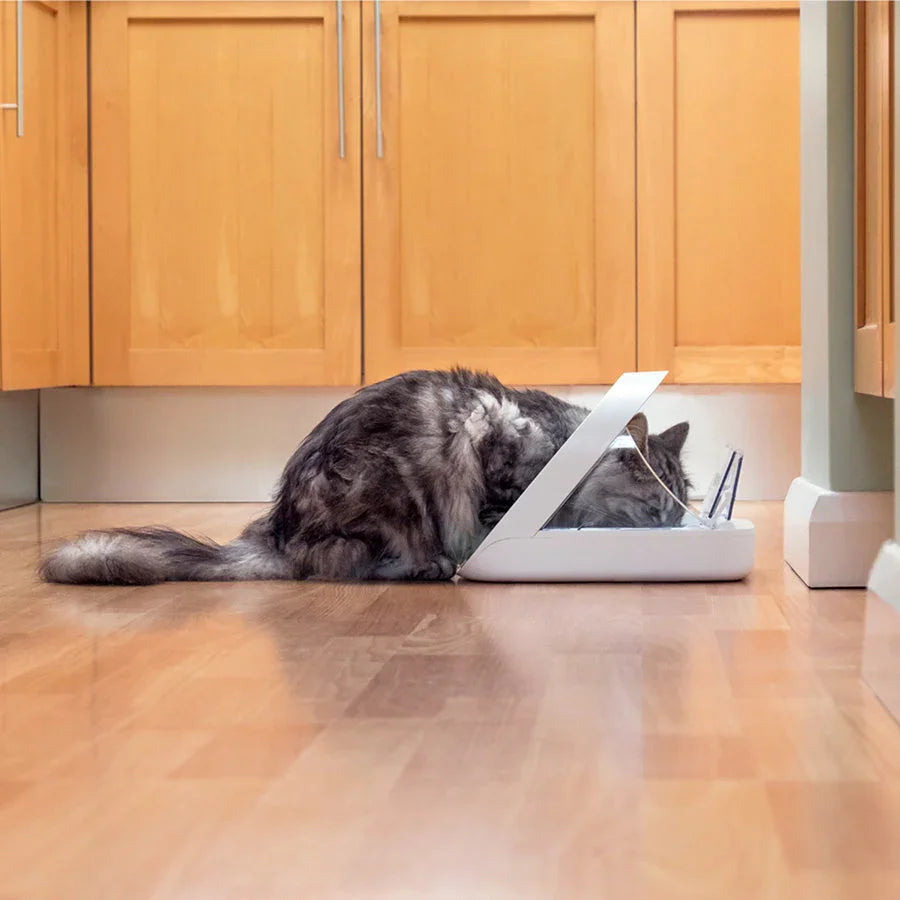 SureFeed Smart Microchip Pet Feeder for Cats & Small Dogs – White