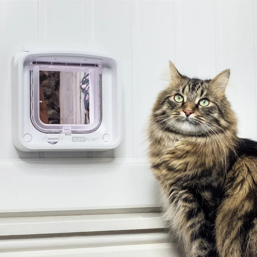 SureFlap Connect Microchip Cat Flap with Hub – White Small/Medium